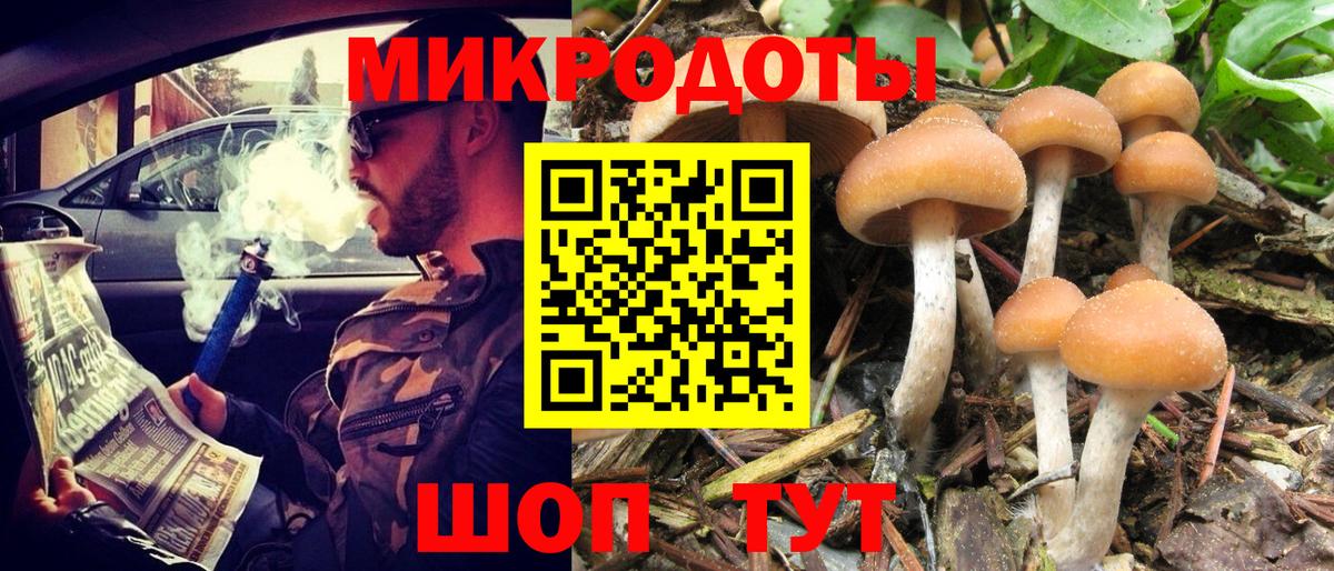 Псилоцибиновые грибы мухоморы Железногорск