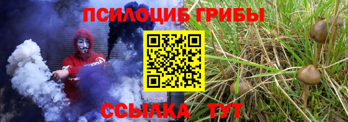 Железногорск  Галлюциногенные грибы прущие грибы  Вход с VPN 